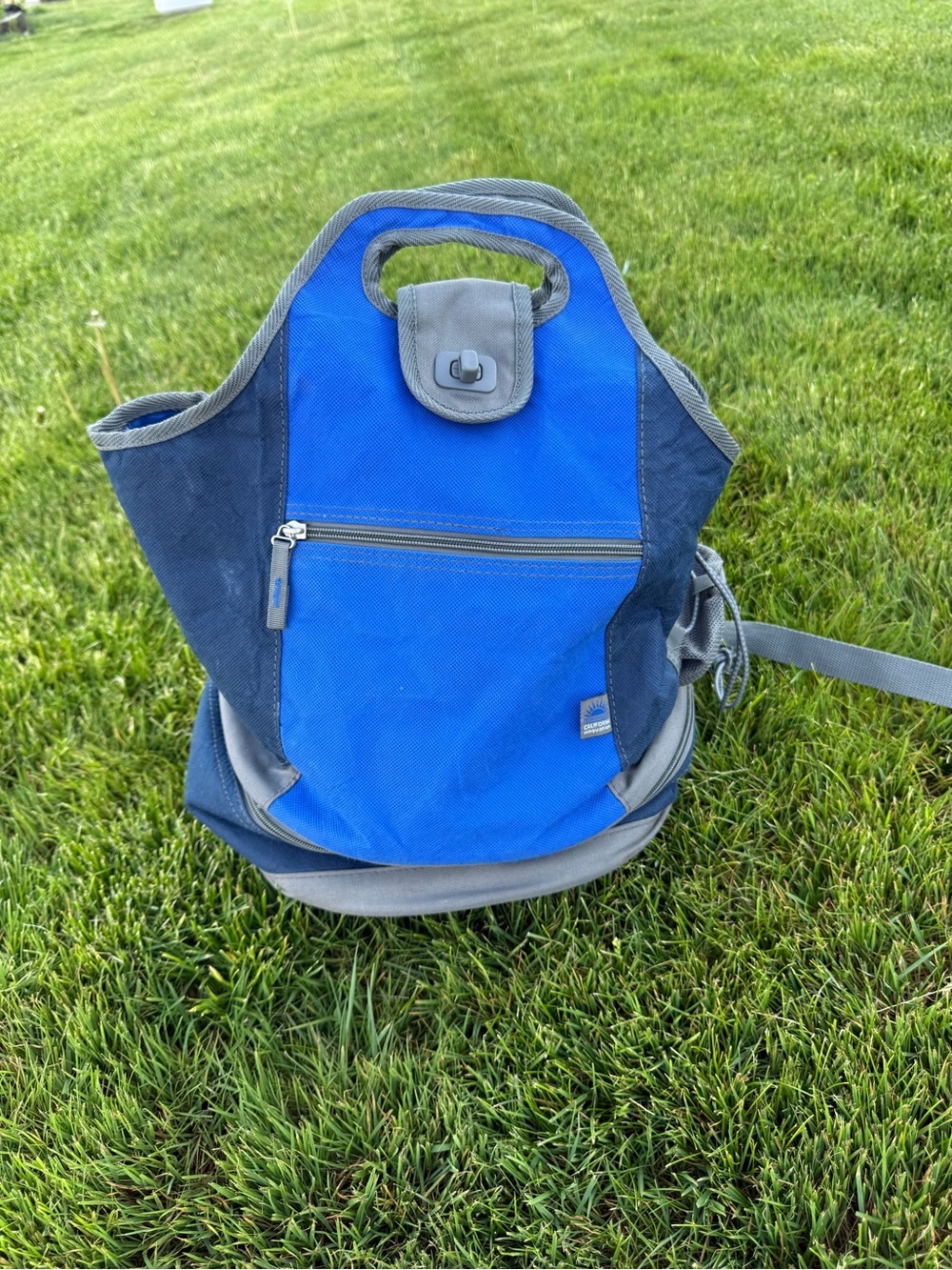 Blue and Gray Men’s Backpack Tote - Unbranded